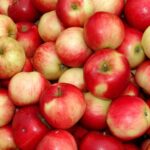 apple, apple pile, fruit-444629.jpg